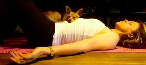 The author doing a savasana on a purple yoga mat, with her chihuahua laying on her