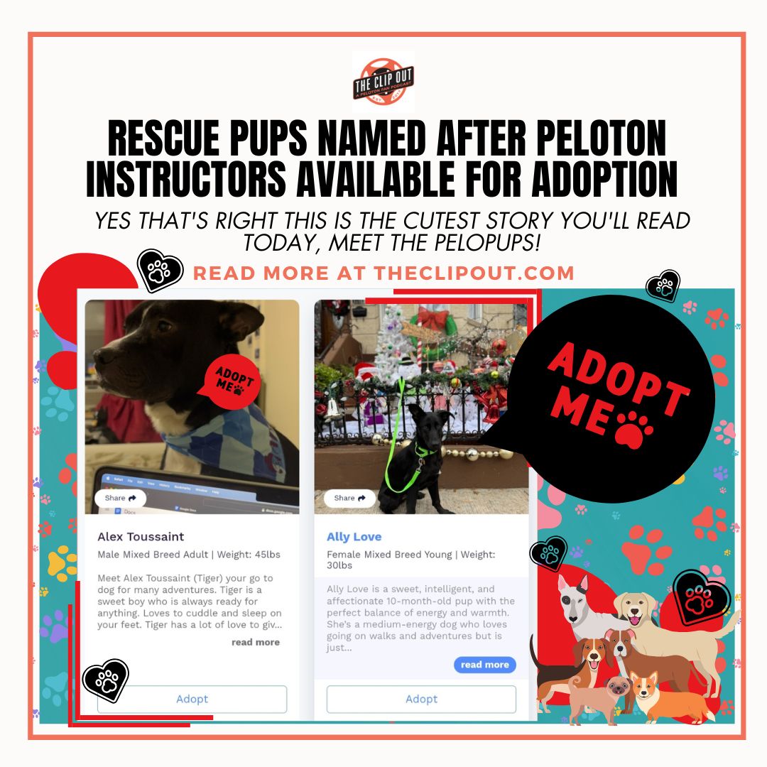 Rescue dogs named after Peloton Instructors available for adoption