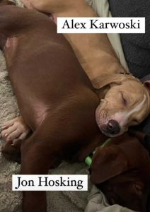 Waldo's Rescue adoptable dogs Alex Karwoski and Jon Hosking taking a nap together