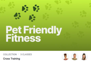 Peloton's Pet Friendly Fitness Collection