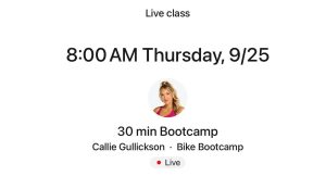 Callie bootcamp
