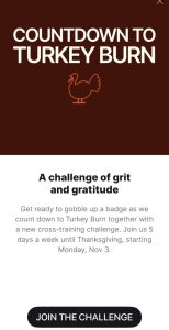 Countdown to Turkey Burn