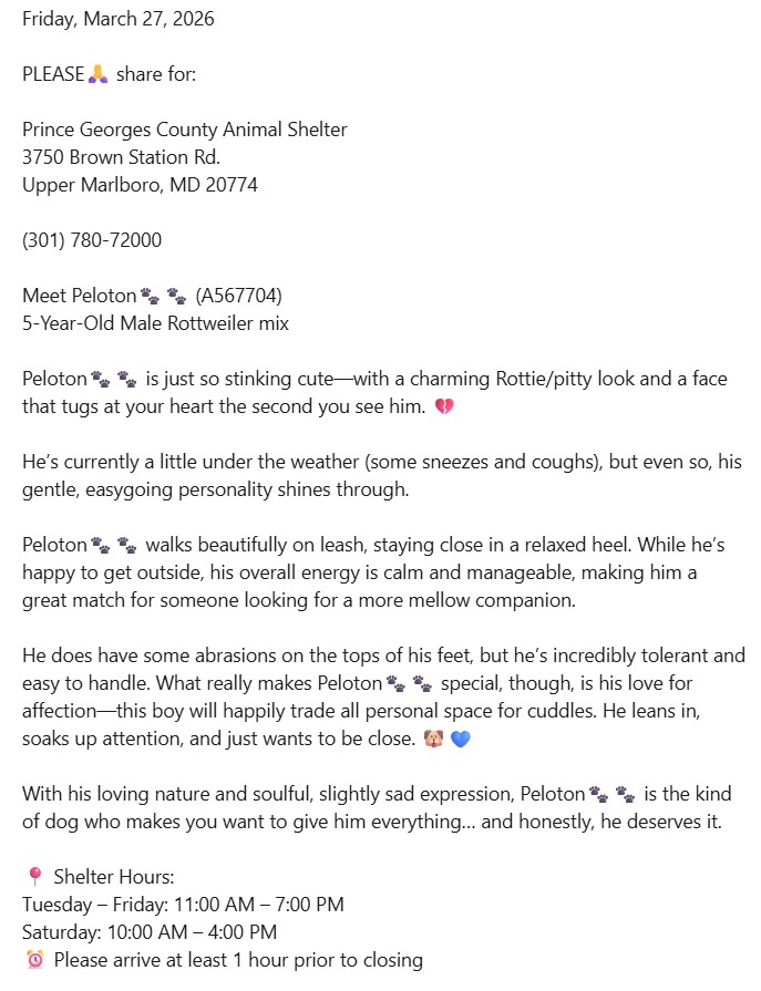 peloton dog adoption post