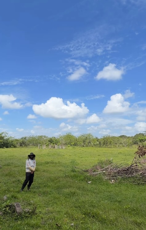 Rad Lopez DR property 2