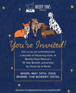 Muddy Paws Invitation