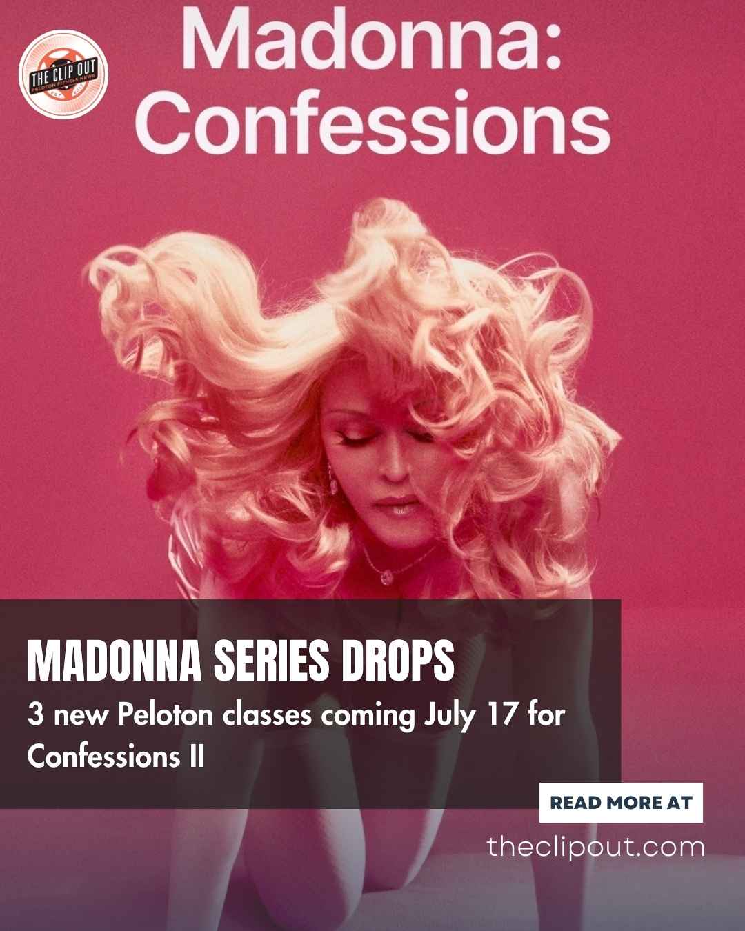 Madonna Confessions Artist Series