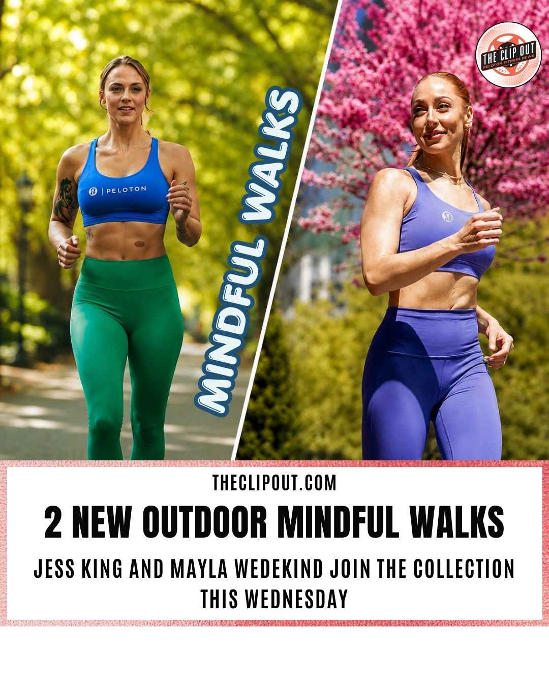 Outdoor Mindful Walks