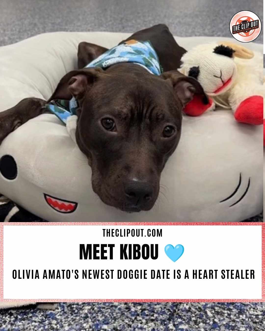 Doggie Dates with Olivia