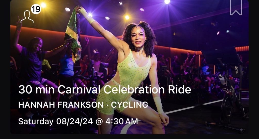 Carnival Celebration Ride costume from the 2024 edition