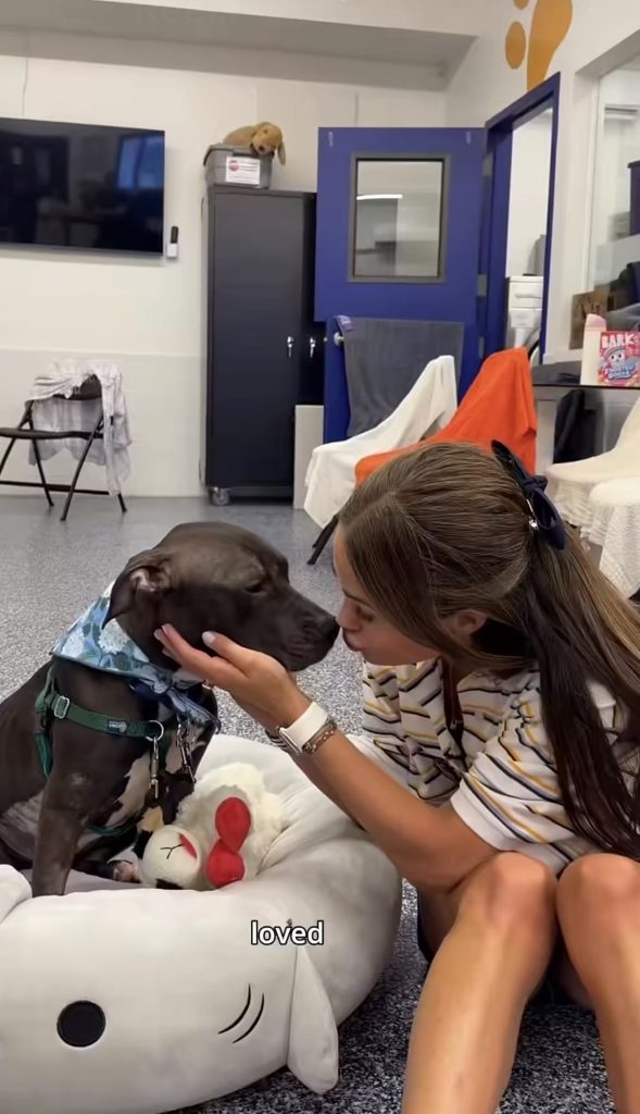 Doggie Dates with Olivia Kibou getting kisses from Olivia Amato
