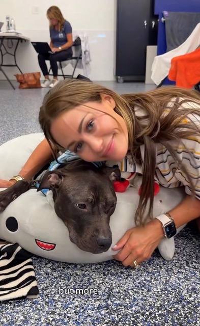 Doggie Dates with Olivia Kibou on Squishmallow shark bed