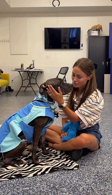 Doggie Dates with Olivia Kibou wearing blue cooling vest