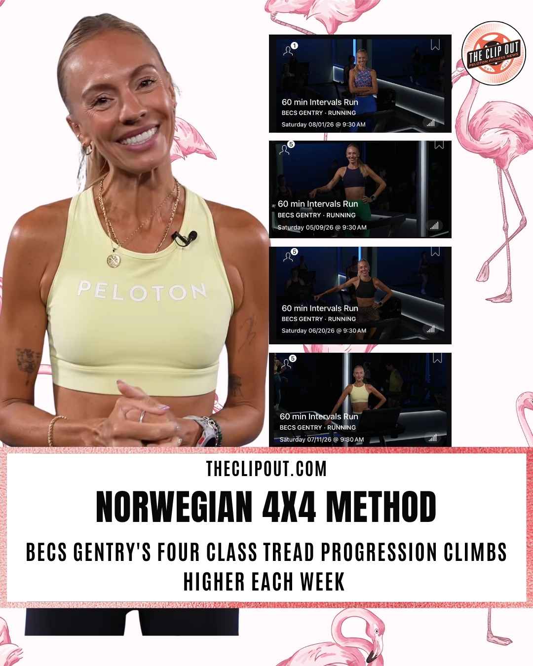 Norwegian 4x4 Method (1)