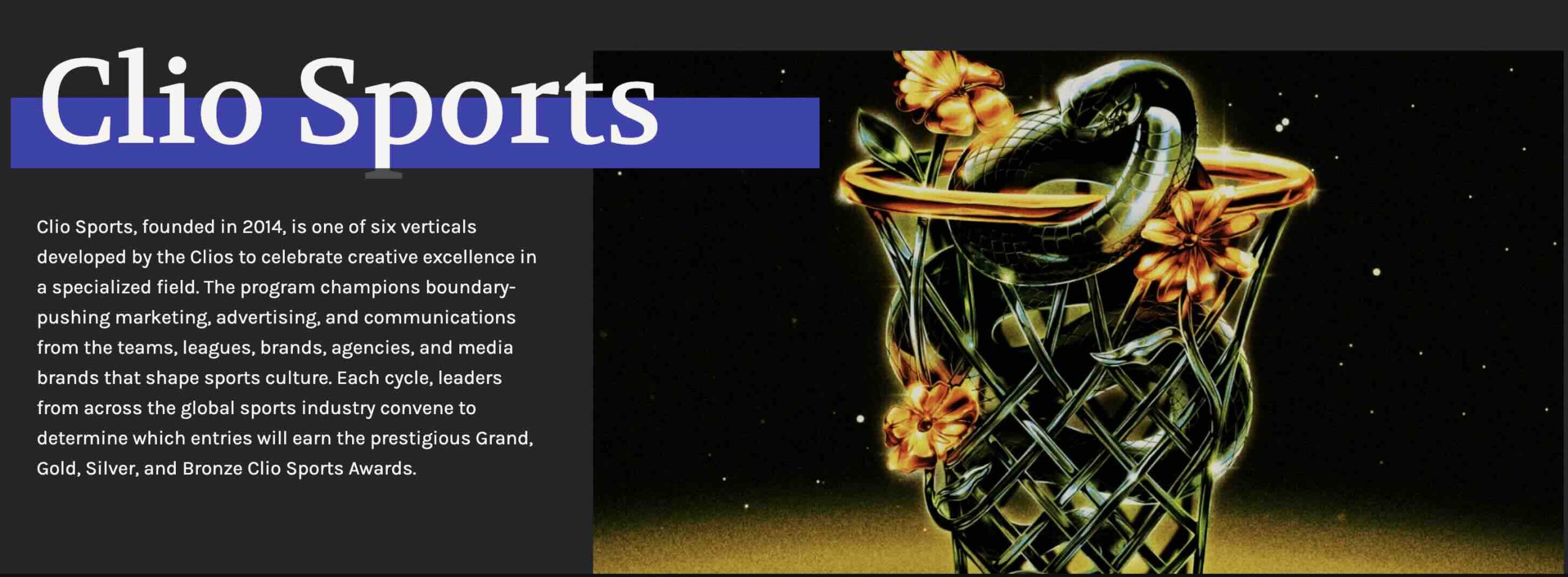 clio sports awards jury adds peloton cmo