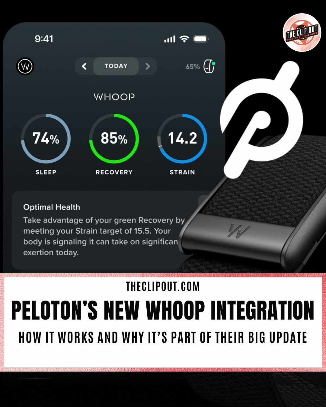 WHOOP Integration Is Live How to Connect Right Now